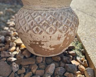 Ready for planting.