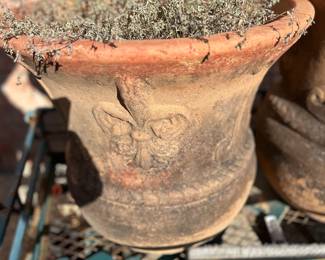 Even larger pot.