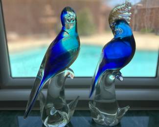 Beautiful birds.