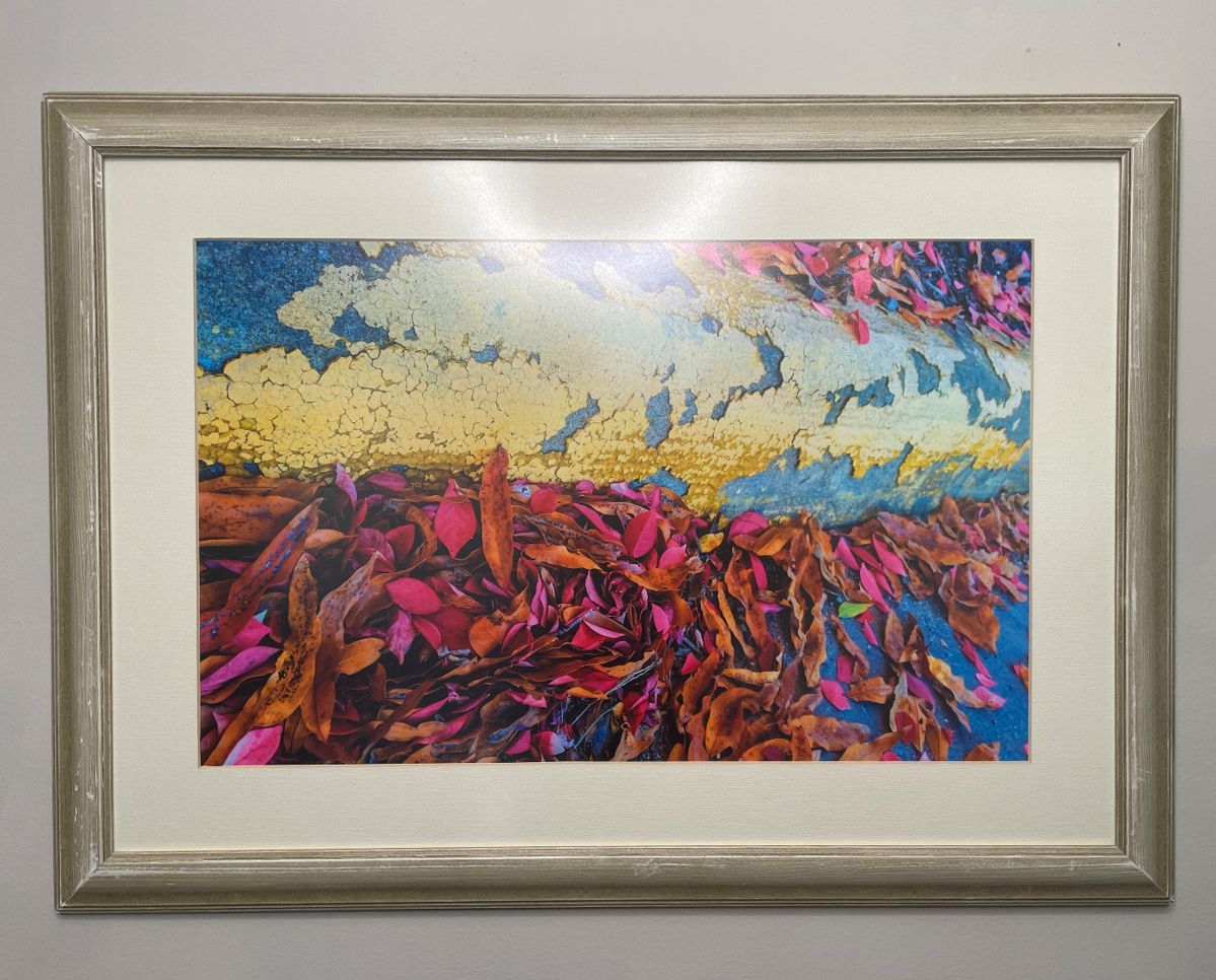 Owners own art: collection of digital photography & painted works on canvas