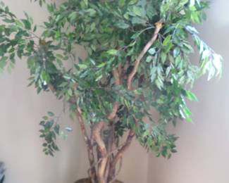 tree