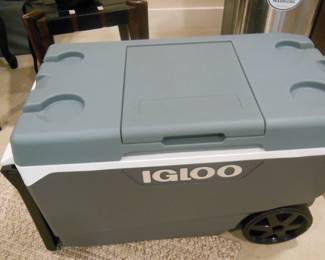 large Igloo cooler