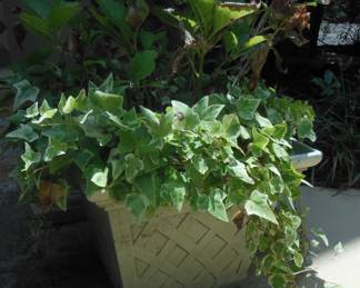 outdoor planter