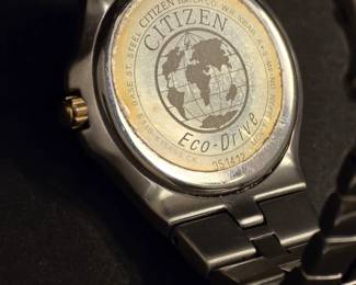 Citizen Men's Eco Drive E110-K15699