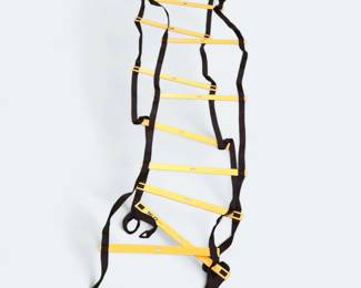SKLZ Training Ladder