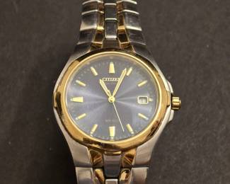 Citizen Men's Eco Drive E110-K15699