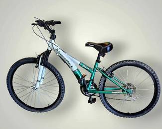Diamondback Tess 24' Bike