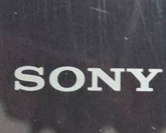 Sony SWF-BR100 Subwoofer