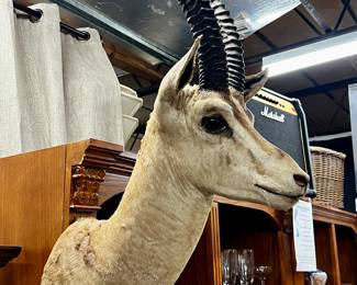 Vintage grant gazelle mount