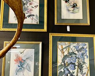 Botanical art prints
