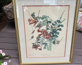 Lovely well marked print of hummingbirds and trumpet flowers