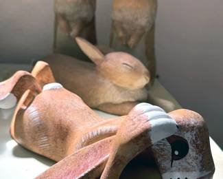 Rory Alvarez (Santa Fe) rabbits