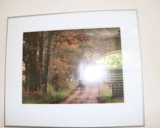 Bill Coleman Signed Photo Amish