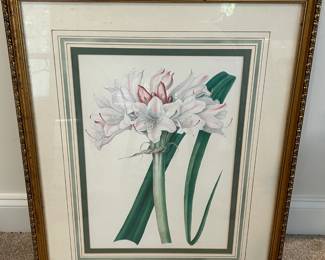 A great selection of framed artwork, canvas artowrk and picture frames.