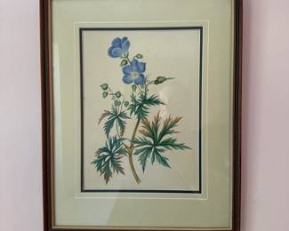 "Flowers from Nature" by Anne Everard