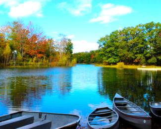 Lot 49, Antrim County, MI