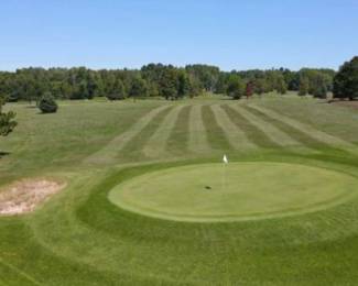 Lot 24 Chenoygan, MI