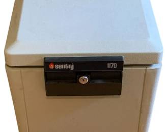 316 - Sentry Safe Model 1170 (no key - as is) 14 x 15 x 12
