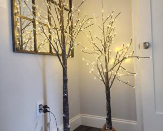 Restoration Hardware Lights...