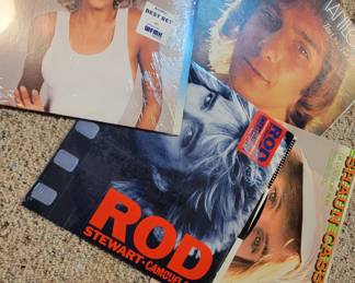 Barry Manilow, Rod Stewart, Tina Turner, Shaun Cassidy.....