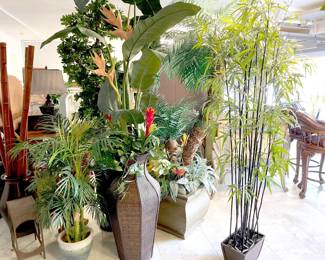 Holy Moly! Some of these faux plants are over 7' tall! There is a virtual FOREST of faux and silk plants. Seriously, like more than 100 pieces! All include planter or basket bases. Selling palm trees, ginger, dieffenbachia, bamboo, topiary, fishtale palm and flower arrangements suitable for the tropics and beyond.