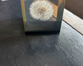 Dandelion in Lucite from Gumps, San Francisco