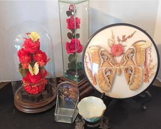 Preserved Moth, Floral Decor