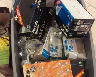 Mystery Lightbulb Lot