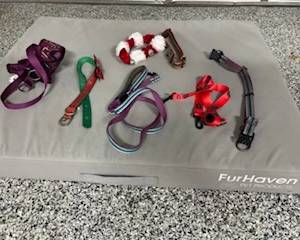 Large dog bed and accessories