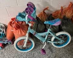 Frozen bike with training wheels