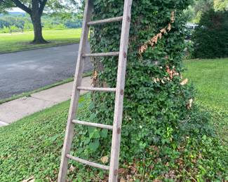 Remnant of antique ladder