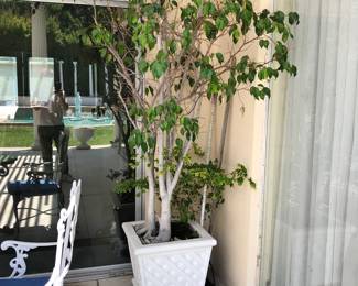 Pair of Large Square Planters
