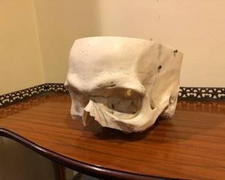 Skull.  We'll leave it at that.