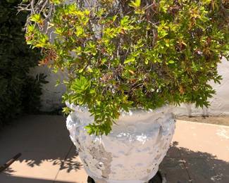 Four Monumental Planters