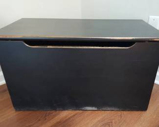Black Storage Trunk