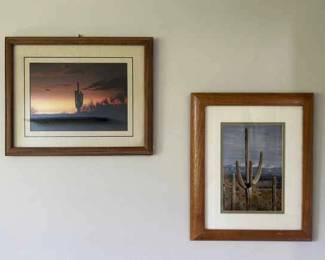 Two Framed Cactus Photos 16.5 x 13.5 Each