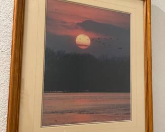 Thomas D. Mangelsen (b. 1946)
Sunset Flight – Limited Edition Photograph
Signed & numbered 673/950
Framed dimensions: 28” x 24.5