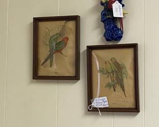 Old parrot prints in concave glass frames 
Wall pocket