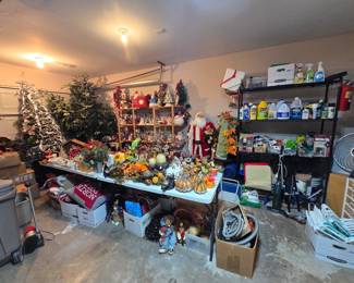 Holiday decorations, garage supplies, cleaning supplies, dehumidifier, ... shelves for sale too!