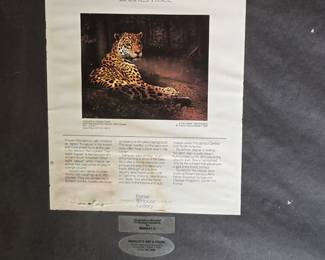 limited edition Charles Frace - JAGUAR - dated 1980 - print is 26"x31"