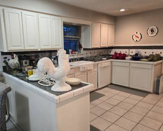 Kitchen counters and cabinets are loaded!