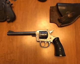 22 LR
