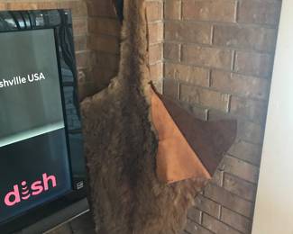 Coyote hide