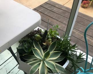 Items Located In The Screened In Back Patio