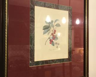 Items Located In The Kitchen