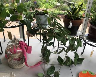Items Located In The Screened In Back Patio