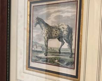 Items Located In The Central Hallway