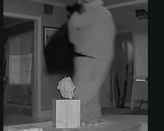 THIEF