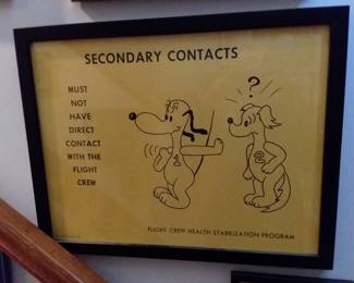 NASA Snoopy poster (1 of 8)