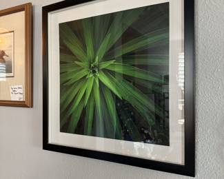 Vivid green plant wall art